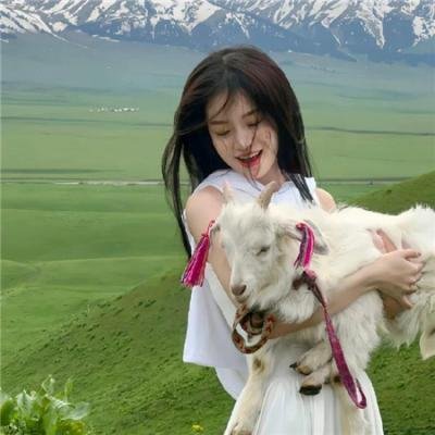 果树人生 海报