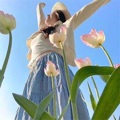 村长趣哪鹅 海报